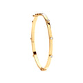 Y/G Hollow Oval Cz Baby Bangle