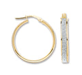 Y/G Glitter Hoop 22mm Earrings