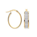 Y/G Glitter p/c Illusion Oval Hoop Earrings