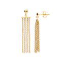 Y/G Tassel Drop Earrings
