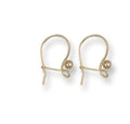 Y/G Earring Wires (Pack of 2 pairs)