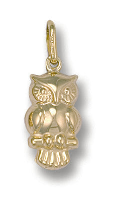 Y/G Owl Pendant