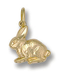 Y/G Rabbit Pendant