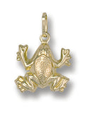Y/G Frog Pendant