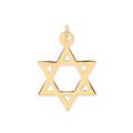 Y/G Star of David Pendant
