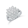 Silver Claw Set Cz Cluster Ring
