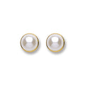 9ct Gold Simulated Pearl Studs