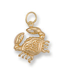 Y/G Cancer Zodiac Pendant